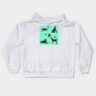 Airedale Terriers Pattern Stars Seafoam Kids Hoodie